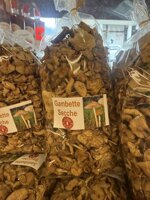 gambette-secche-marasmius-oreades