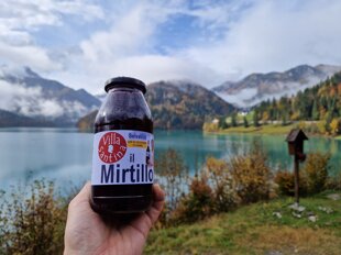 2186d9aa-2b50-4f2d-80f0-3c1340411dd0