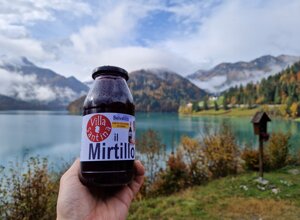 2186d9aa-2b50-4f2d-80f0-3c1340411dd0