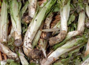 99efc141c4e2fb76b6900f4a6d75504d0c0f2c31