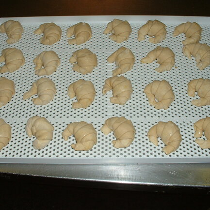 VASSOIO FORATO SETTORE AGROALIMENATARE