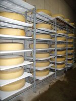 tavola-forata-autoportante-rinforzata-maxi-pfs-maxi-plus-maxi-plus-special