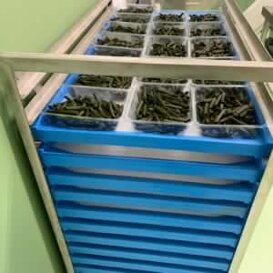 telaio blu su carrelli telaio blu su carrelli