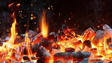 brace.jpeg brace.jpeg