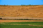 colline-toscane