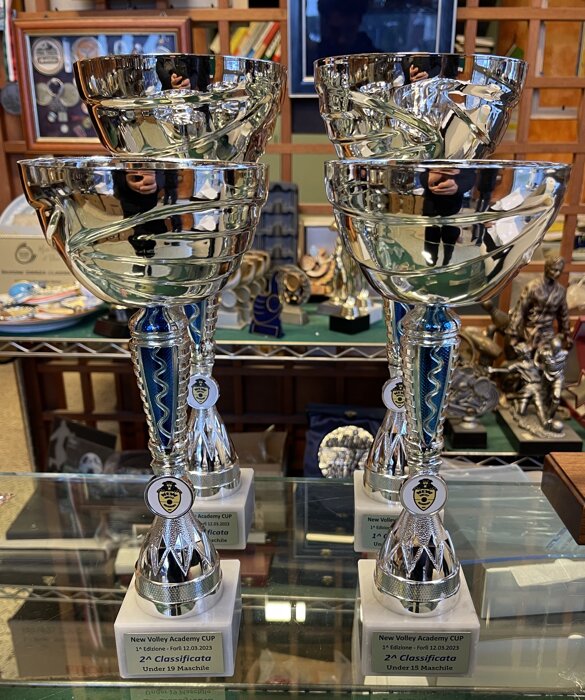 083e0e87-4625-4b97-85f9-10d7e495d25f