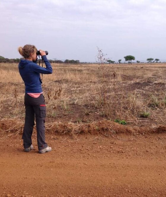 d65f023d-446d-439a-8066-85878001dcc6 d65f023d-446d-439a-8066-85878001dcc6