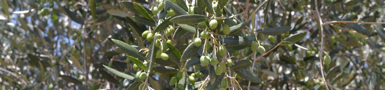 2b912887-2091-401a-9e14-4cec4abf7aa1 2b912887-2091-401a-9e14-4cec4abf7aa1