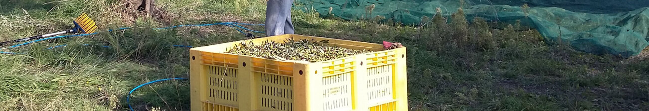 479ef090-c23a-4e25-8ef8-9b3bd254e754