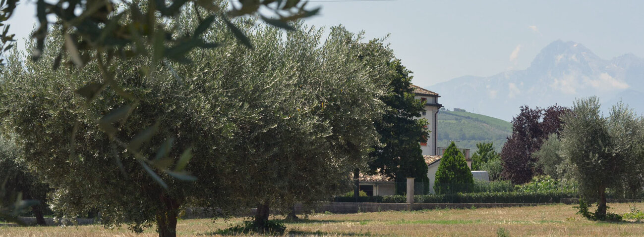 c732783a-40df-4cd7-8624-ca77b83a03bb c732783a-40df-4cd7-8624-ca77b83a03bb