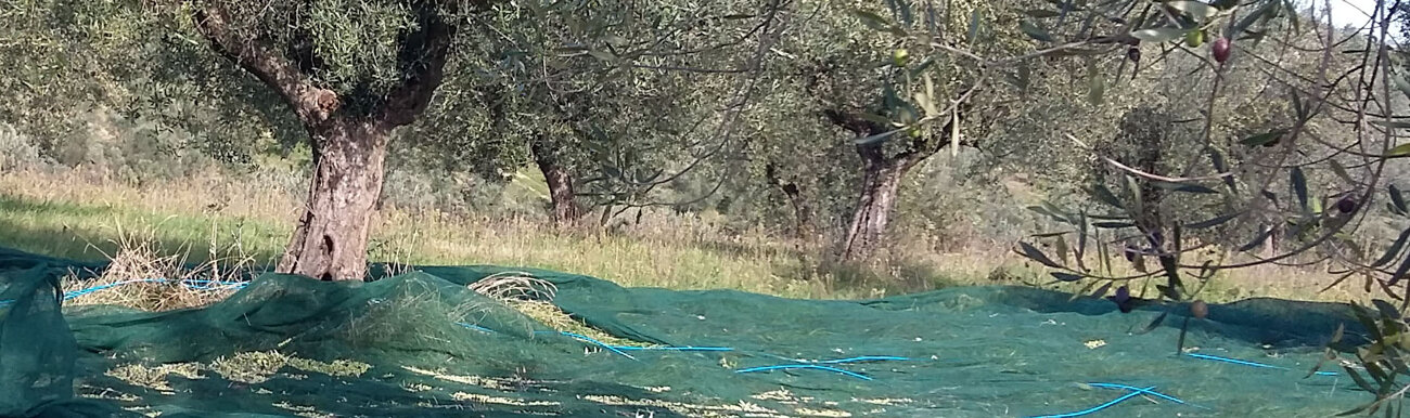 a874b58c-1e97-4d91-afe2-97675a9a4097