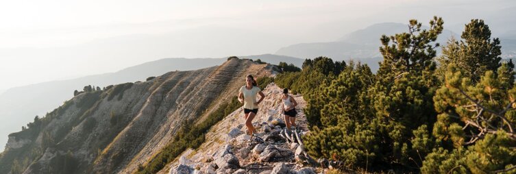 c39530c0-7f21-4786-b8fb-4a01f76e0e07 c39530c0-7f21-4786-b8fb-4a01f76e0e07