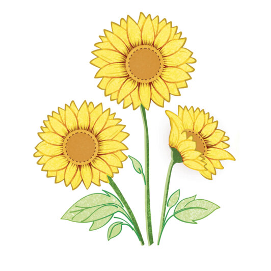 fiori tutti_6 rgb.jpeg