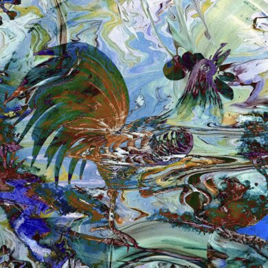 img_5720 gallo pugliese.jpeg