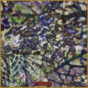 “… scia acquatica di nerèide”#palazzobonaguro