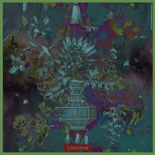 “NuovAsia”#palazzobonaguro