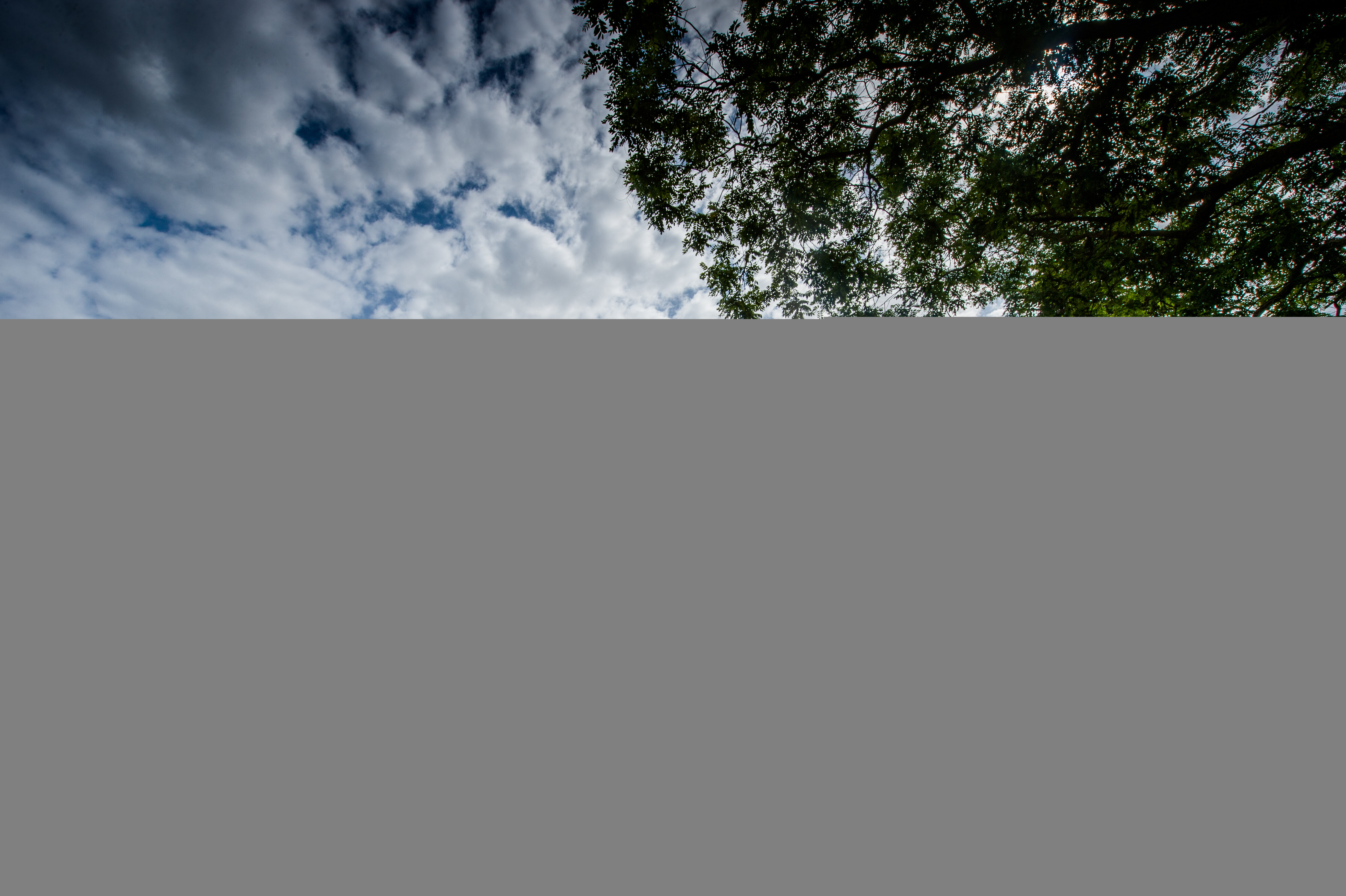 d9e7c0a9-5dcd-4353-8aee-2c1c56edb8ee.jpg d9e7c0a9-5dcd-4353-8aee-2c1c56edb8ee.jpg