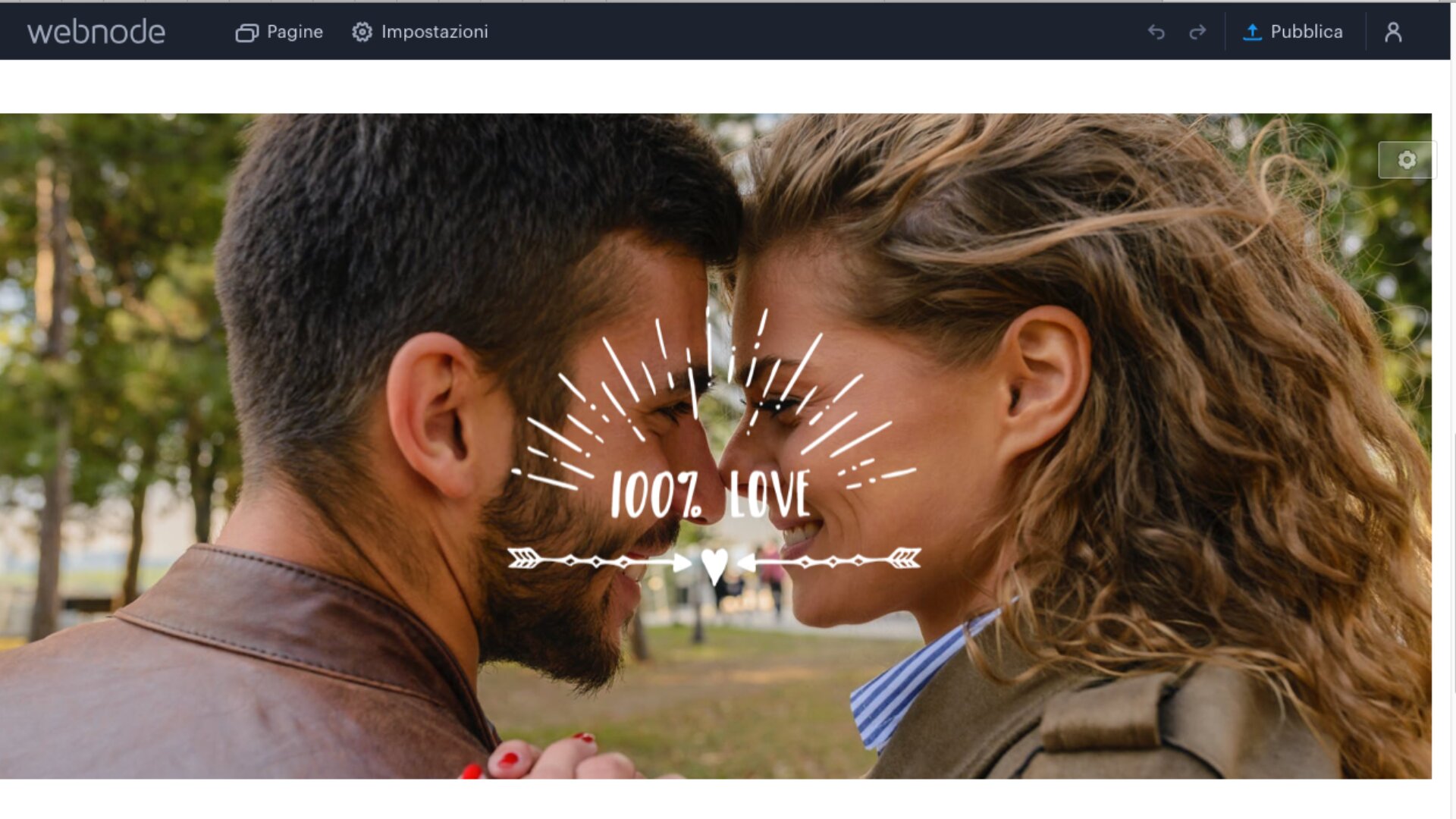 Perch&eacute; avere il sito delle nozze &egrave; la scelta migliore!