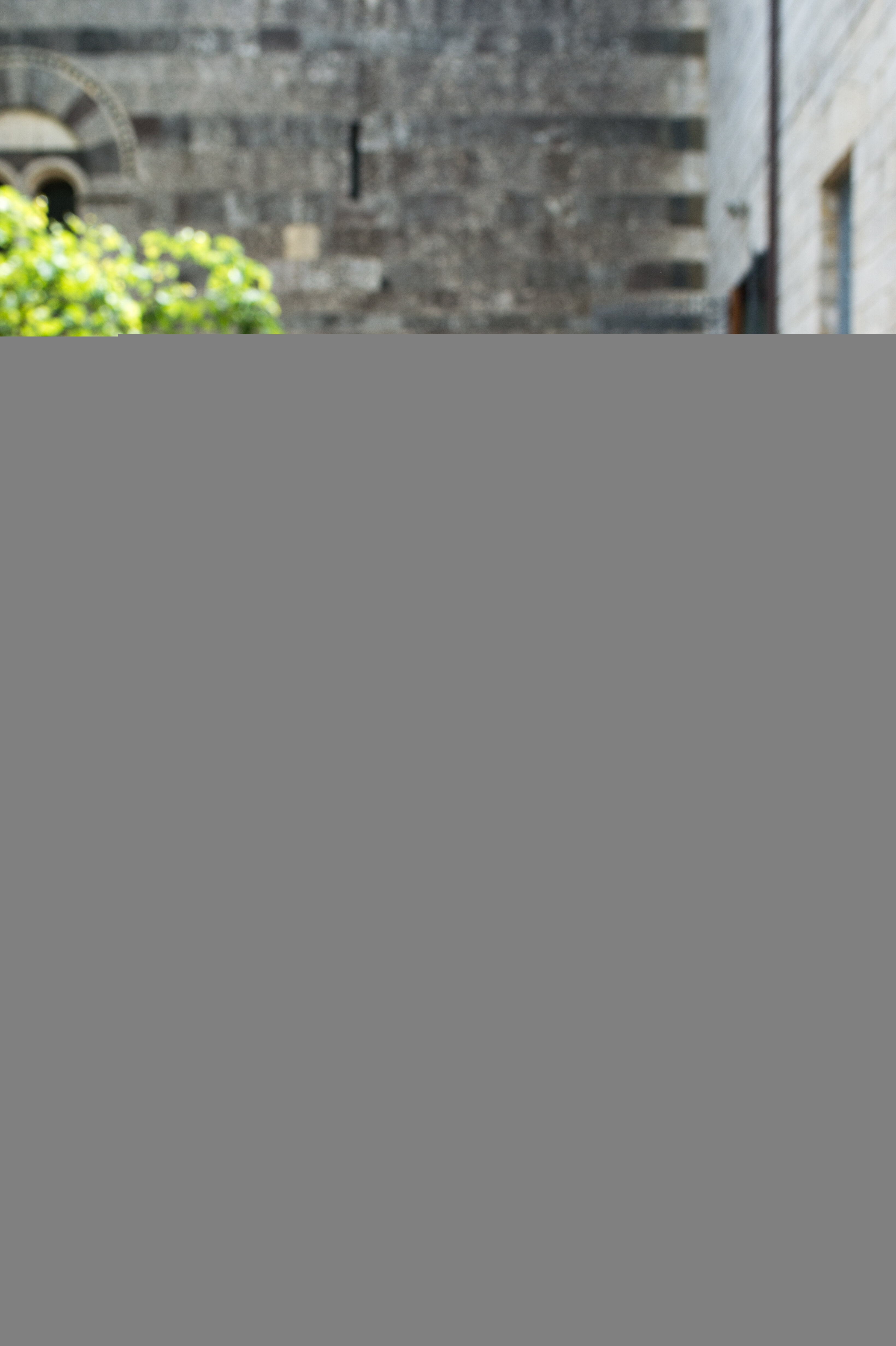 926cfa74-4d25-4d58-9b44-639bd1f12842.jpg 926cfa74-4d25-4d58-9b44-639bd1f12842.jpg