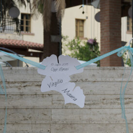 Dissuasore per i curiosi Tema Ginko Biloba