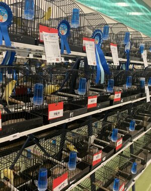 577623237_865378676175698_2631757671466198964_n.jpeg