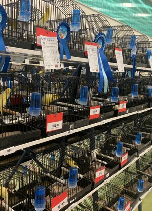 577615244_865377406175825_2171251069113785085_n.jpeg