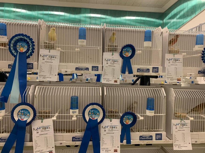 577016538_865377212842511_7399560605290336123_n.jpeg 577016538_865377212842511_7399560605290336123_n.jpeg