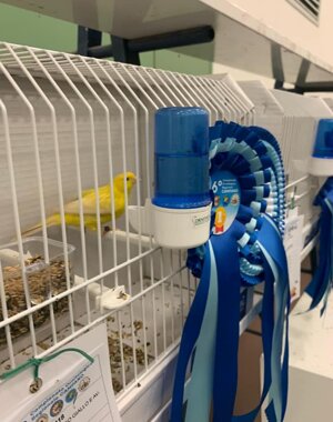 577036533_865376822842550_6539778622243369425_n.jpeg
