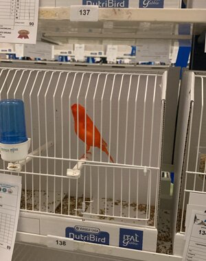 577615244_865377406175825_2171251069113785085_n.jpeg