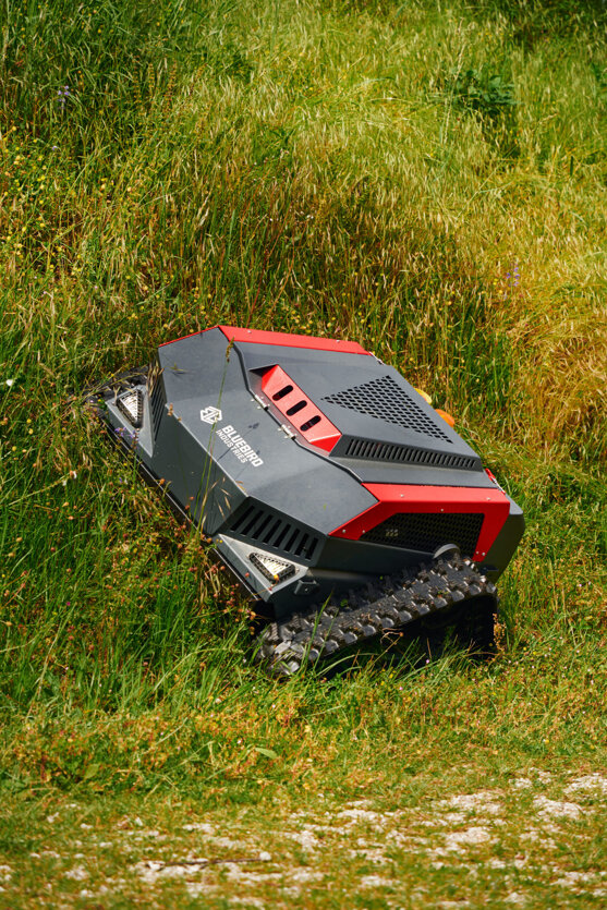 remote bluebird.jpeg remote bluebird.jpeg