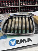 griglia-radiatore-dxbmw-x1e84-mod07090512