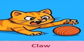 claw-4.jpeg