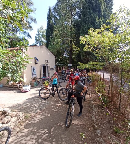deamic%20erasmus%20bici.jpeg