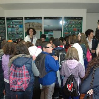 zagaria mostra bimbi.jpeg