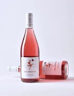 igt-marche-rosato-solomaria