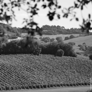 foto-ig-vigna-lanari foto-ig-vigna-lanari