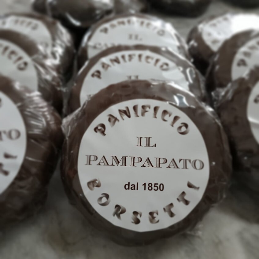 pampapato close uo.jpeg