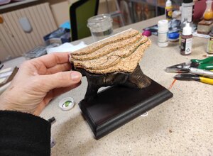 img_20250106_185726.jpeg img_20250106_185726.jpeg