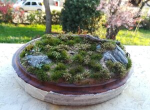 banner.jpeg banner.jpeg