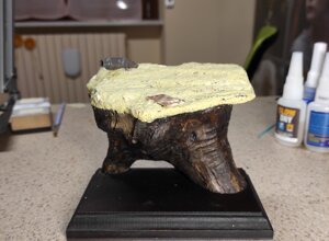 img_20250110_223942.jpeg img_20250110_223942.jpeg