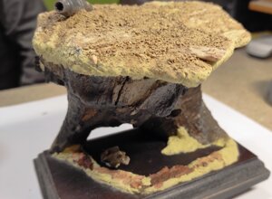 img_20250111_165246.jpeg img_20250111_165246.jpeg