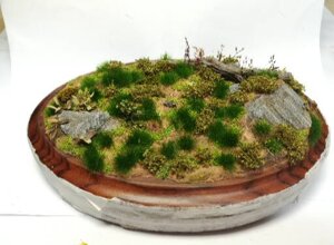 20211.jpeg 20211.jpeg