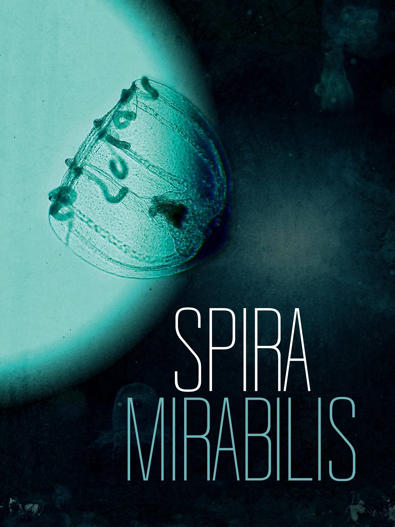 spira.jpeg spira.jpeg