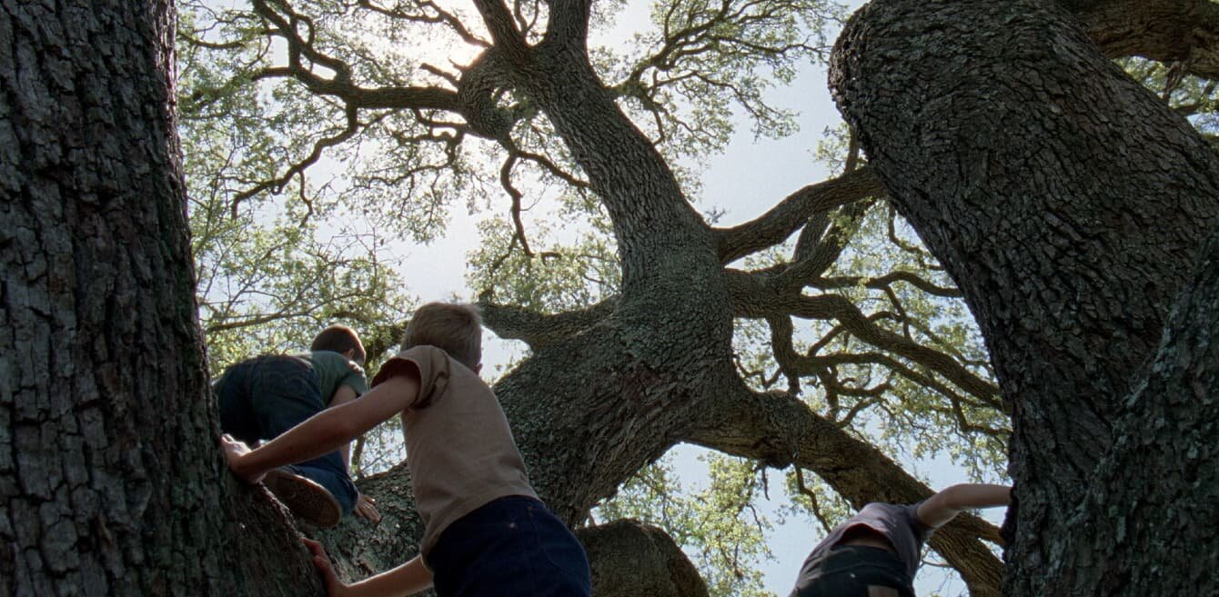 tree-of-life.jpeg