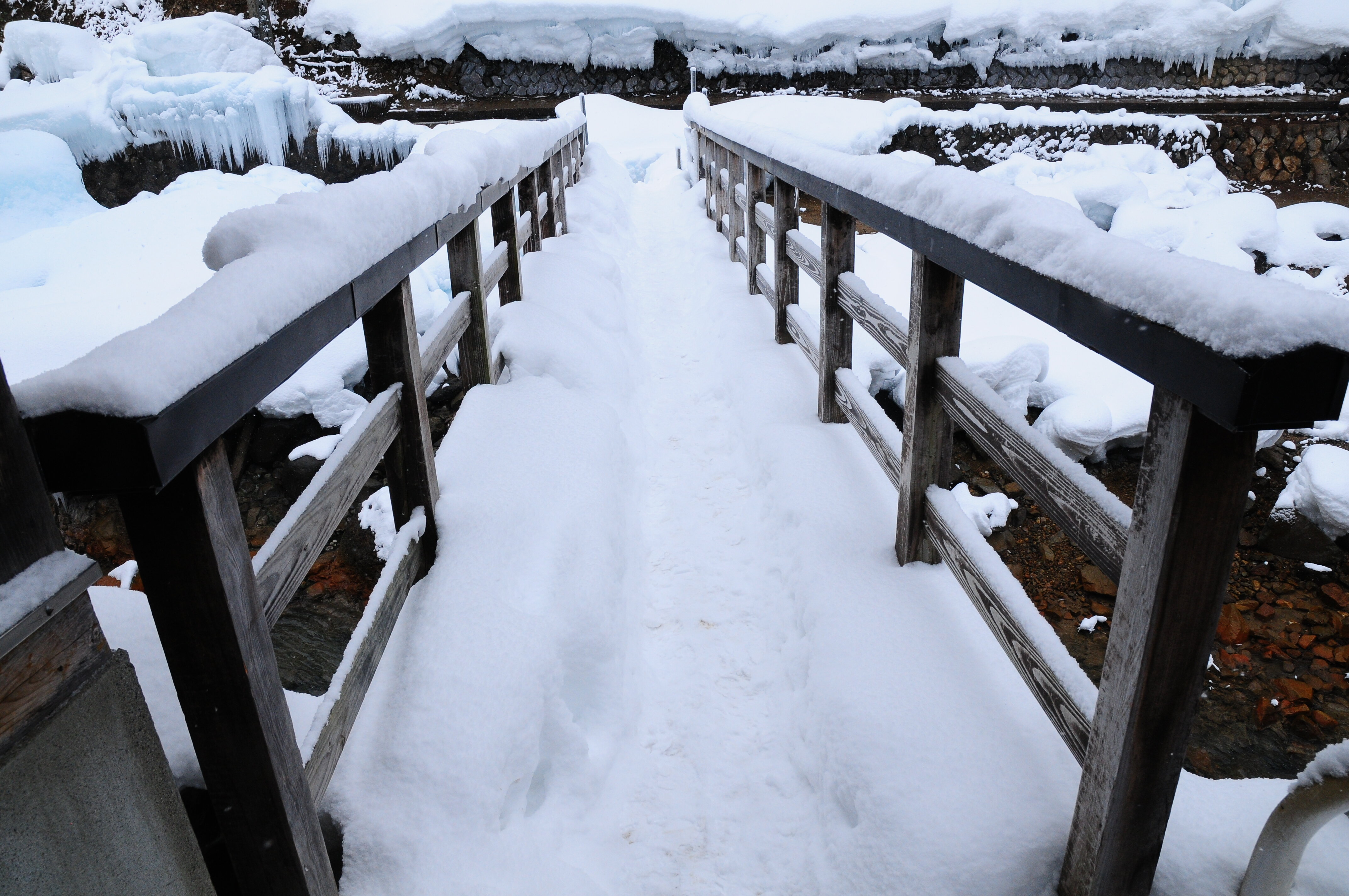 dsc_7353.jpeg