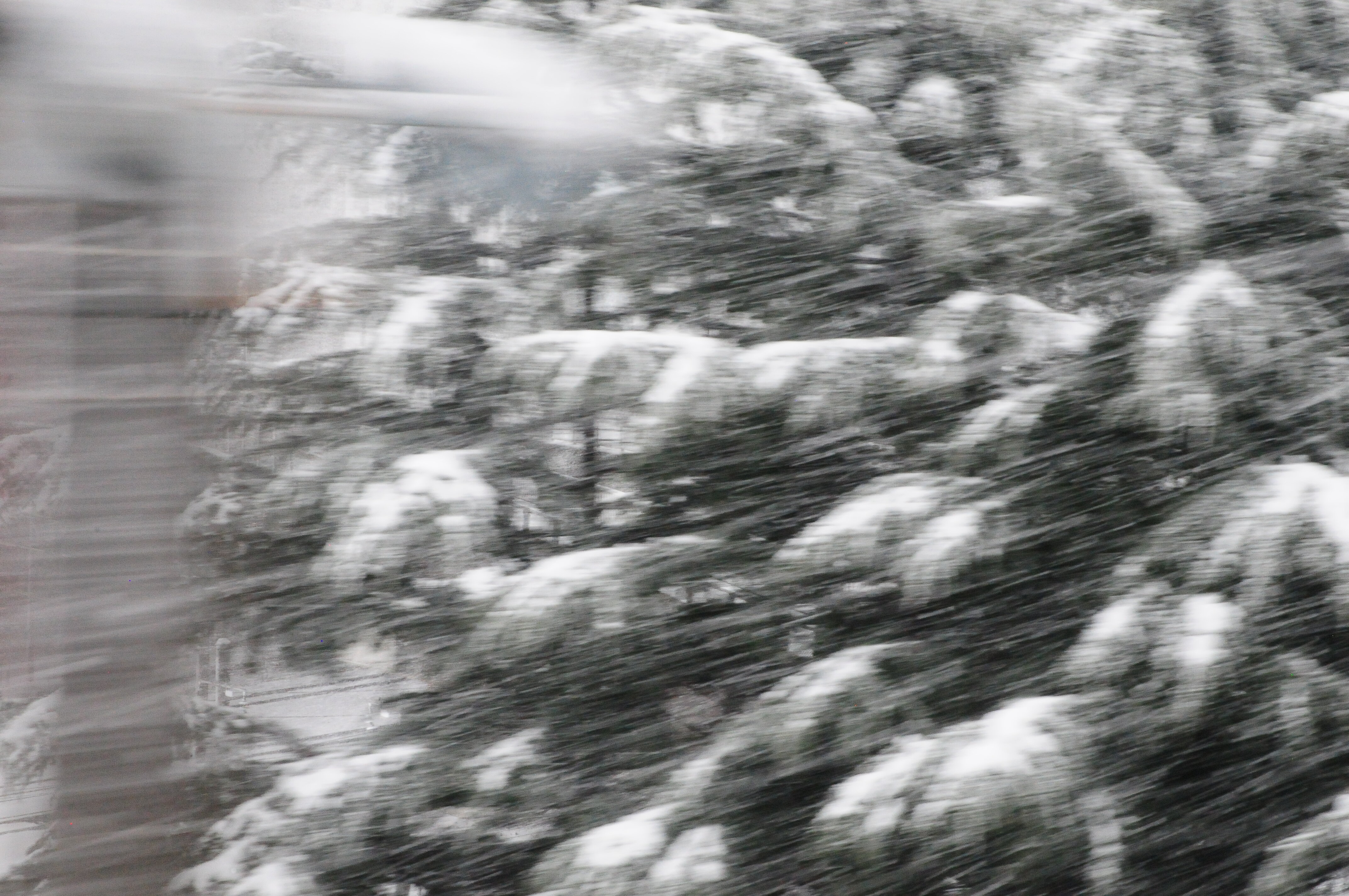 dsc_7111.jpeg