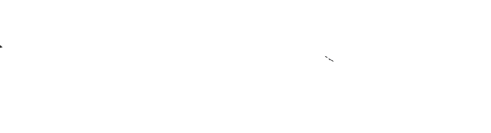 logo bianco