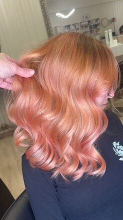 color3.jpeg color3.jpeg