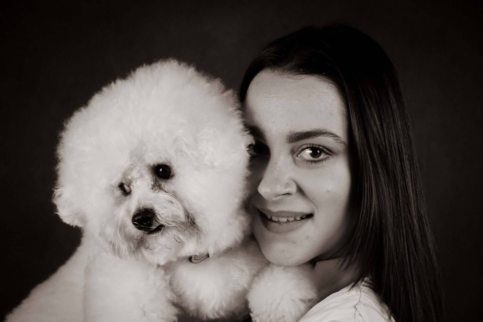 Fotografia artistica Bichon Frise in studio Orme di Luce PhotoVision Atelier