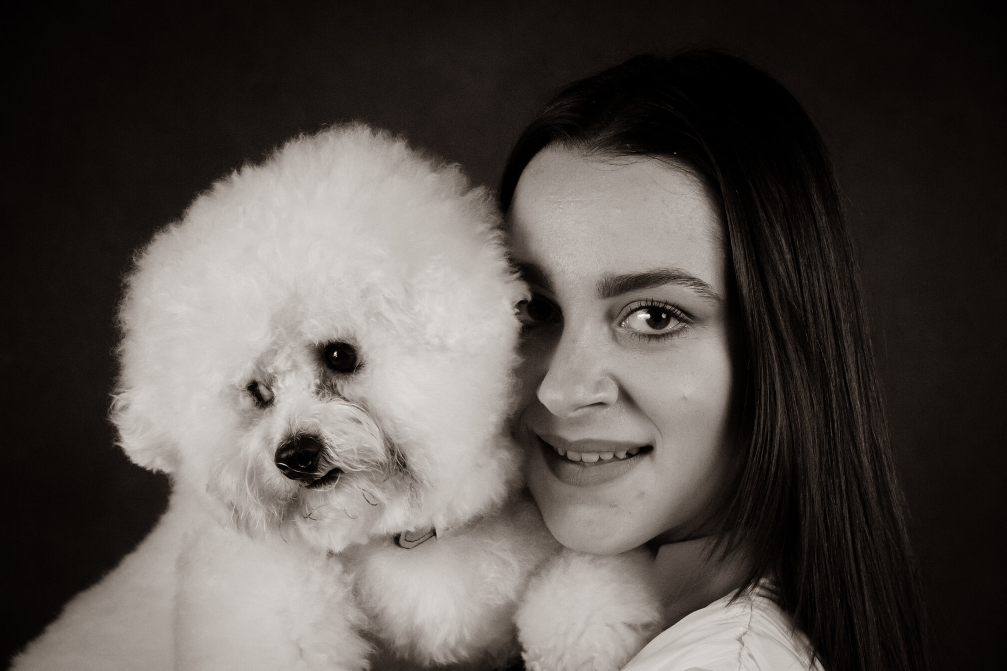 Fotografia artistica Bichon Frise in studio Orme di Luce PhotoVision Atelier